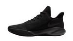 Nike Men's Precision IV Basketball Shoes